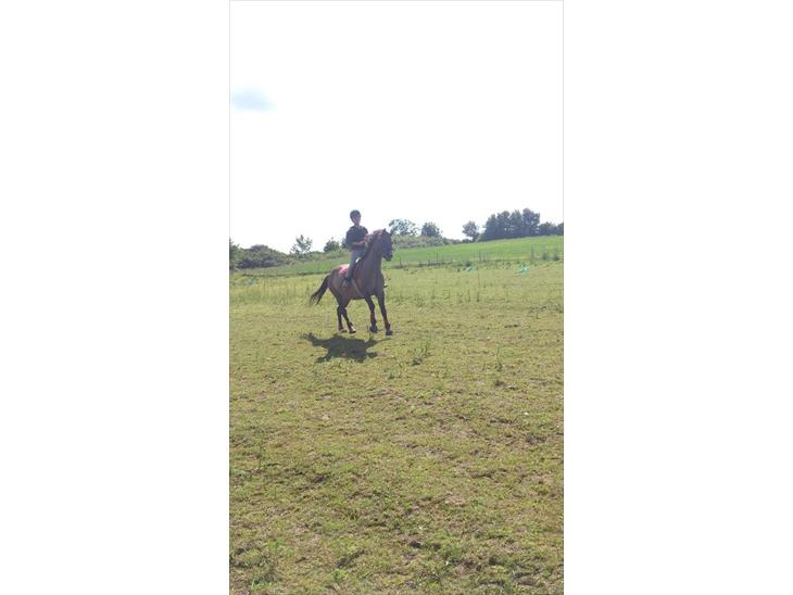 {{currentPhoto.altText}} billede {{currentPhoto.number}}