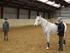 Horsemanship med Ute Lehman