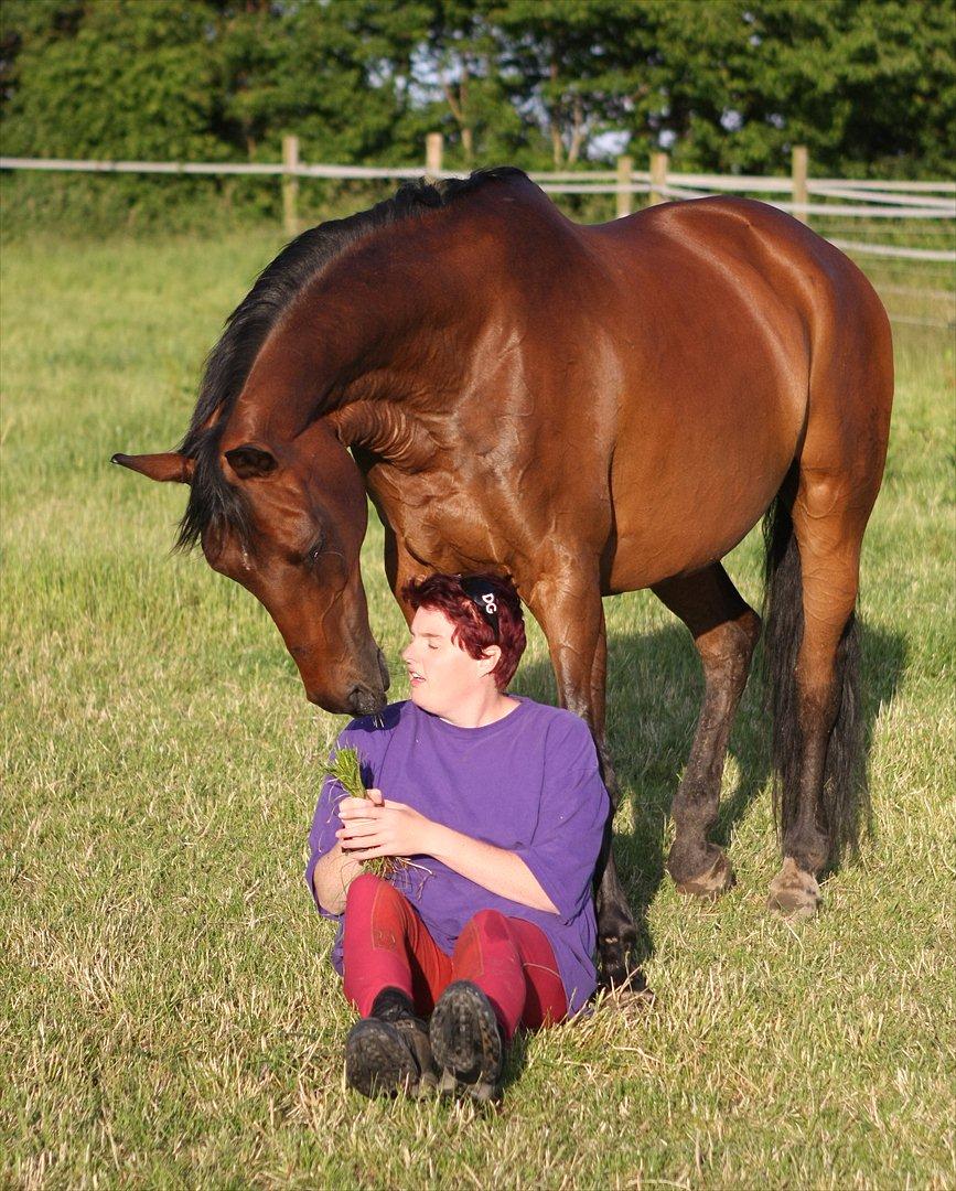 Sommer og sol billede 11