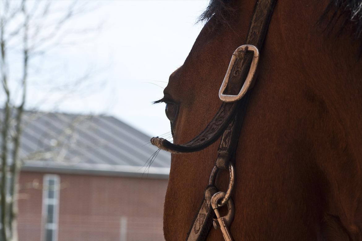 Billeder til min veninde  billede 2