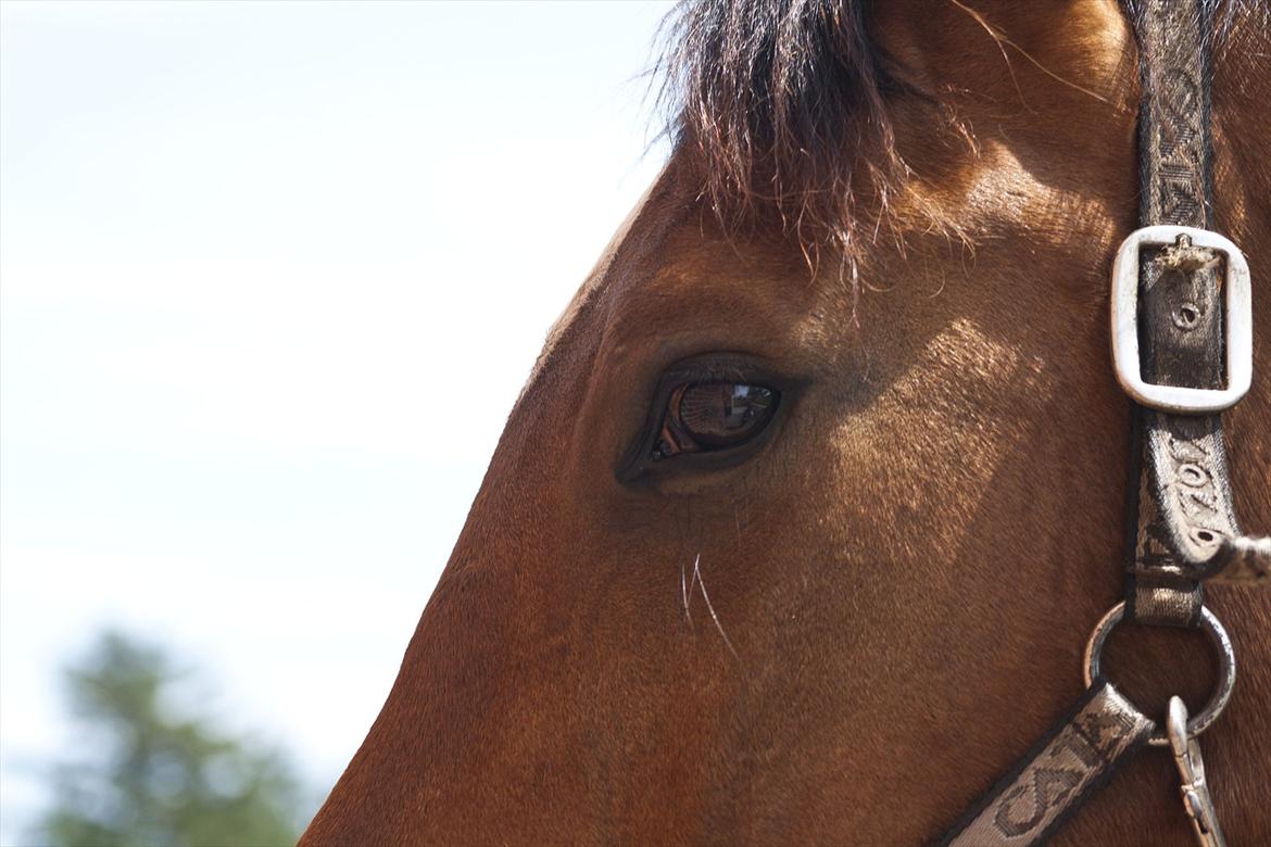 Billeder til min veninde  billede 3