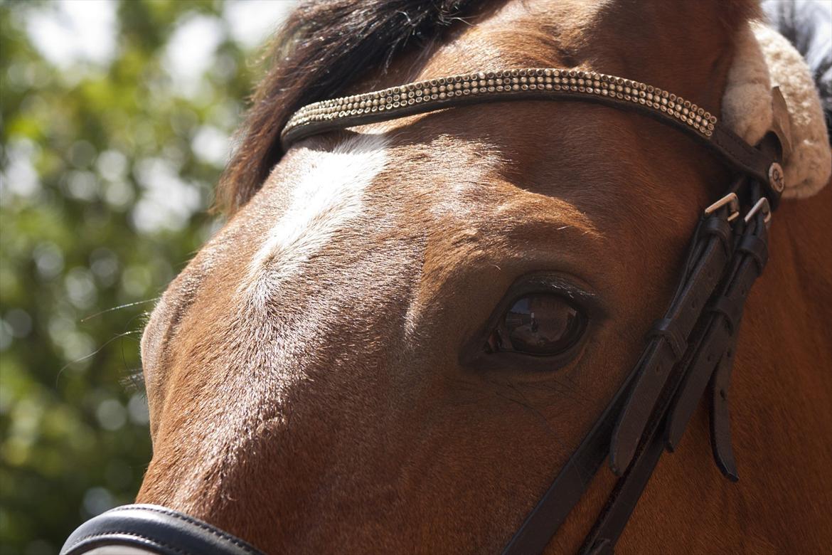 Billeder til min veninde  billede 1