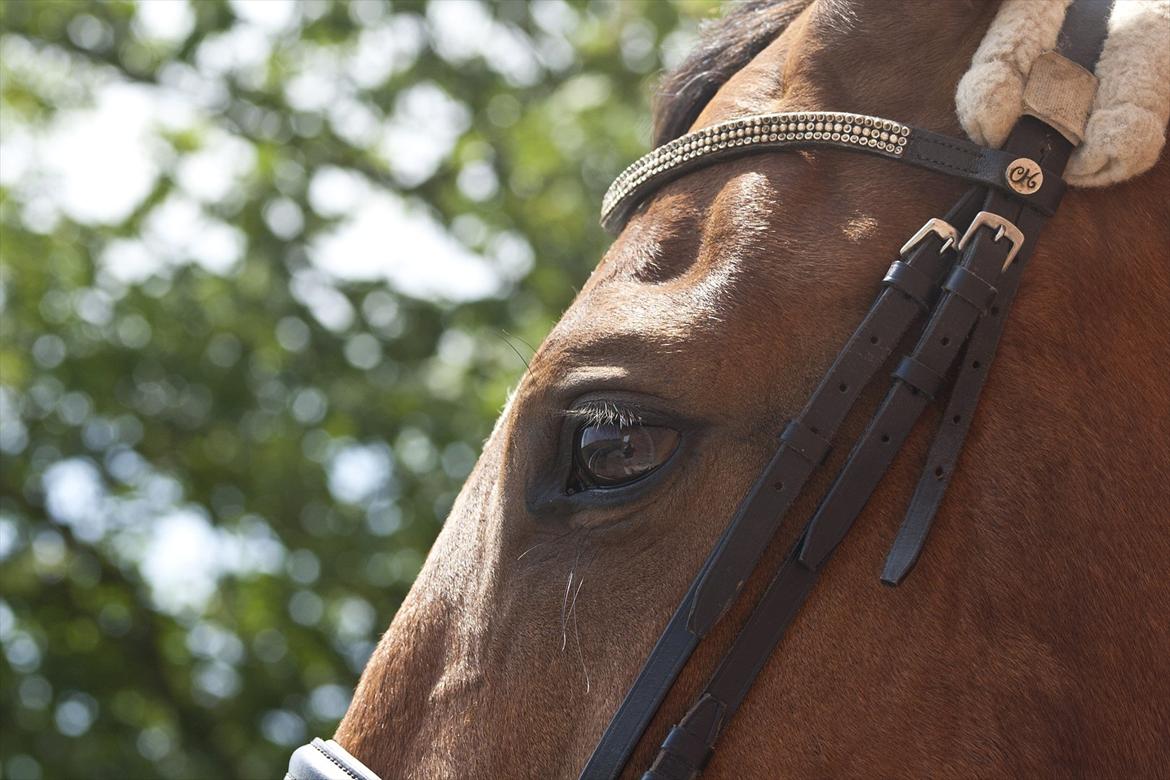 Billeder til min veninde  billede 4