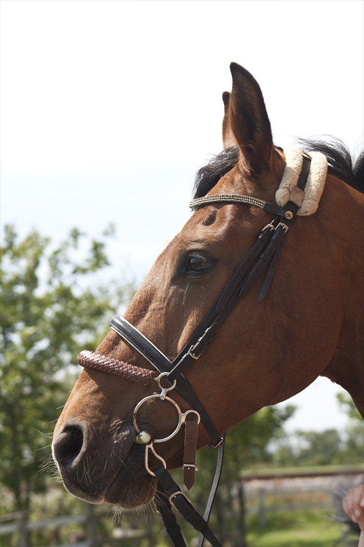 Billeder til min veninde  billede 5