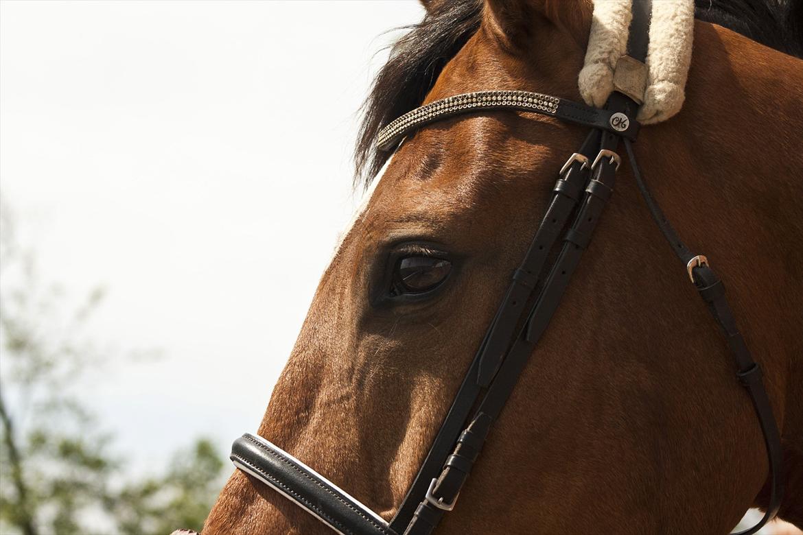 Billeder til min veninde  billede 6