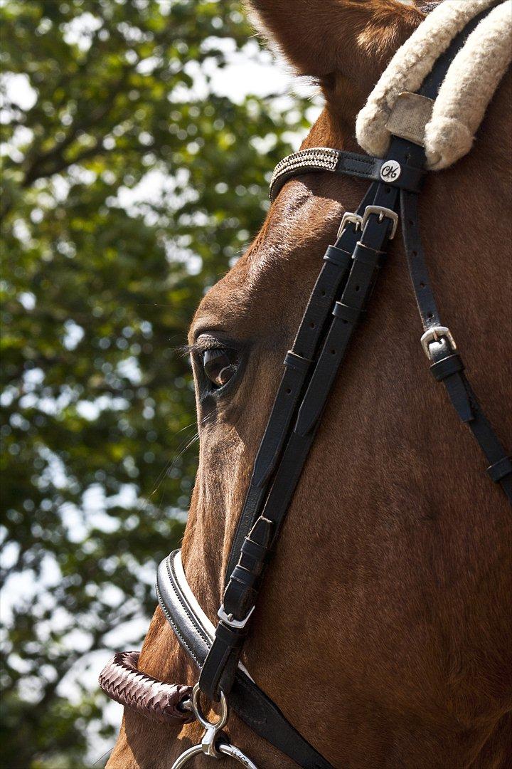 Billeder til min veninde  billede 7