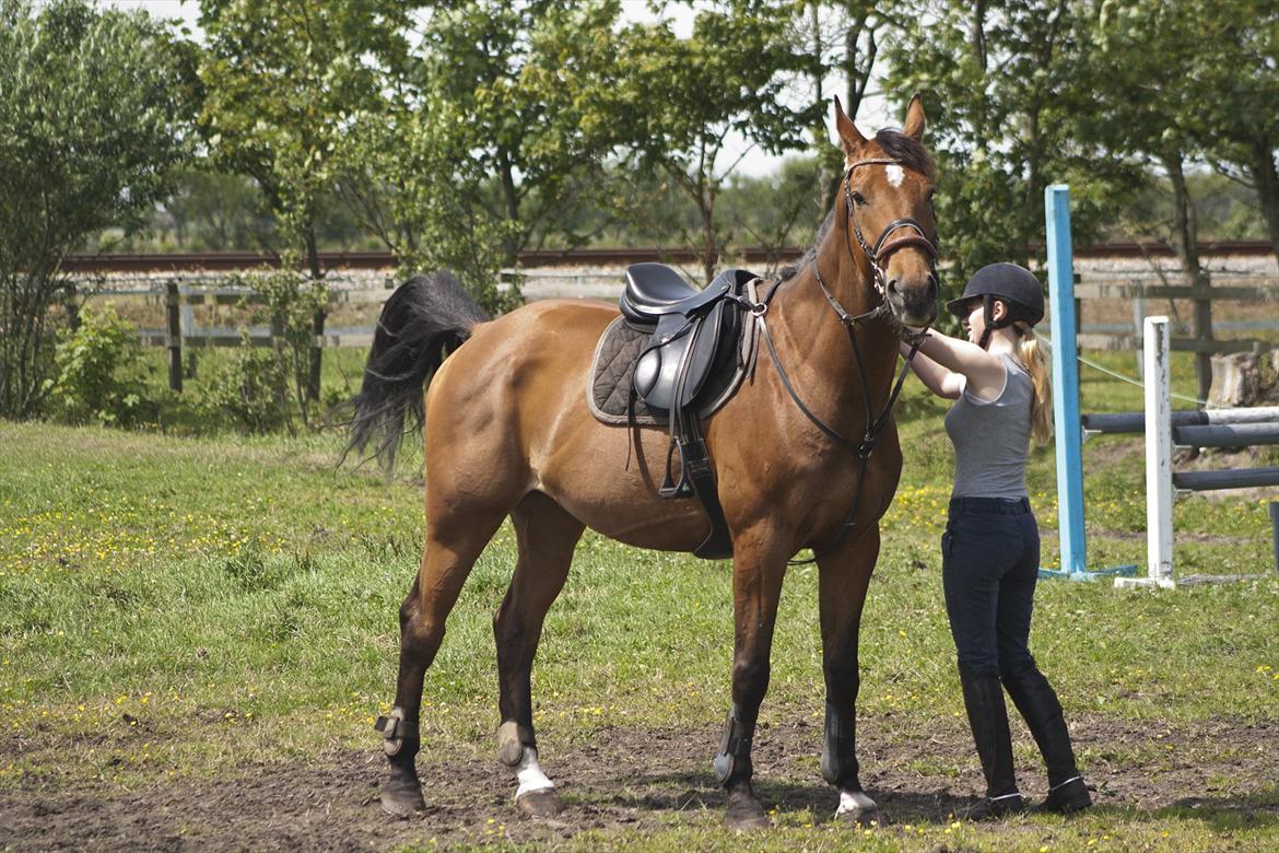 Billeder til min veninde  billede 8