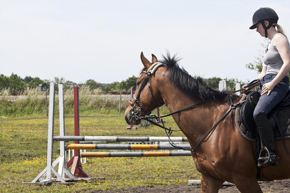 Billeder til min veninde  billede 9