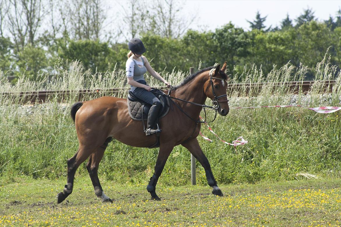 Billeder til min veninde  billede 10
