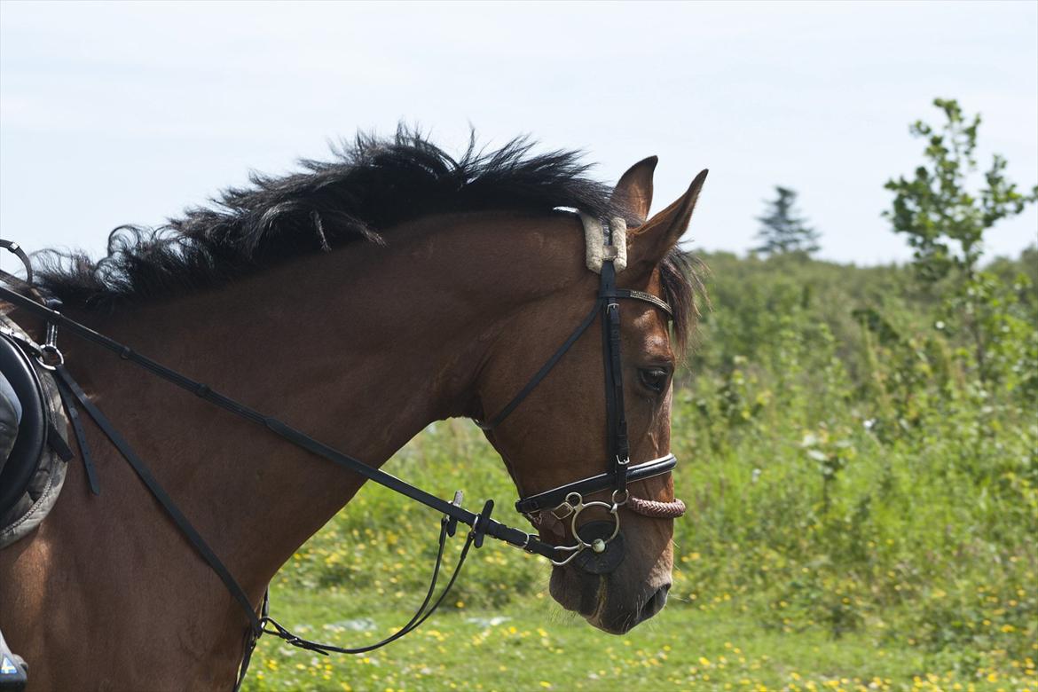 Billeder til min veninde  billede 12