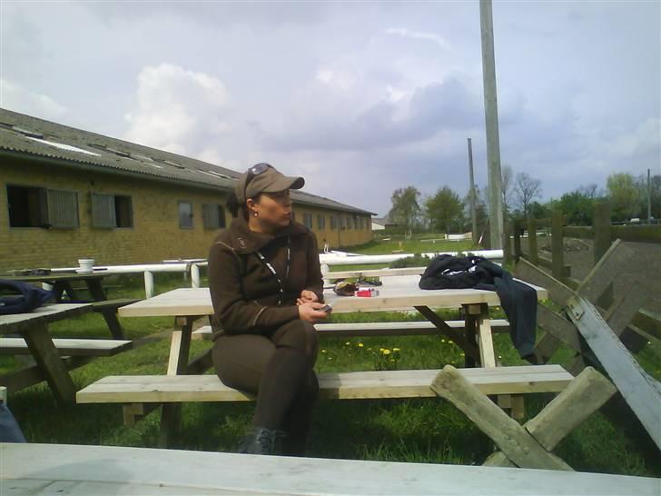 Diverse billeder af forskellige heste :P billede 10