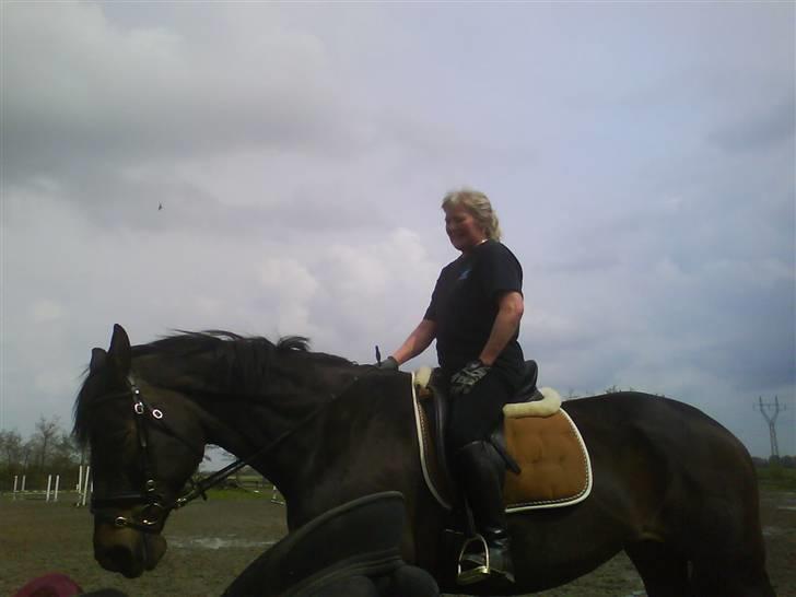 Diverse billeder af forskellige heste :P billede 11