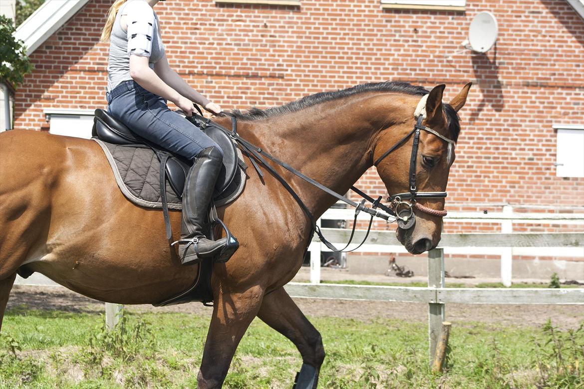 Billeder til min veninde  billede 13