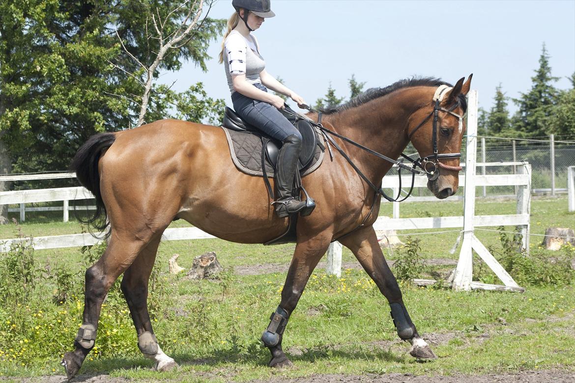 Billeder til min veninde  billede 14