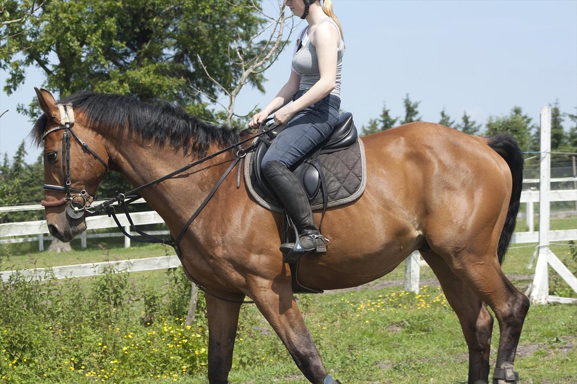 Billeder til min veninde  billede 15