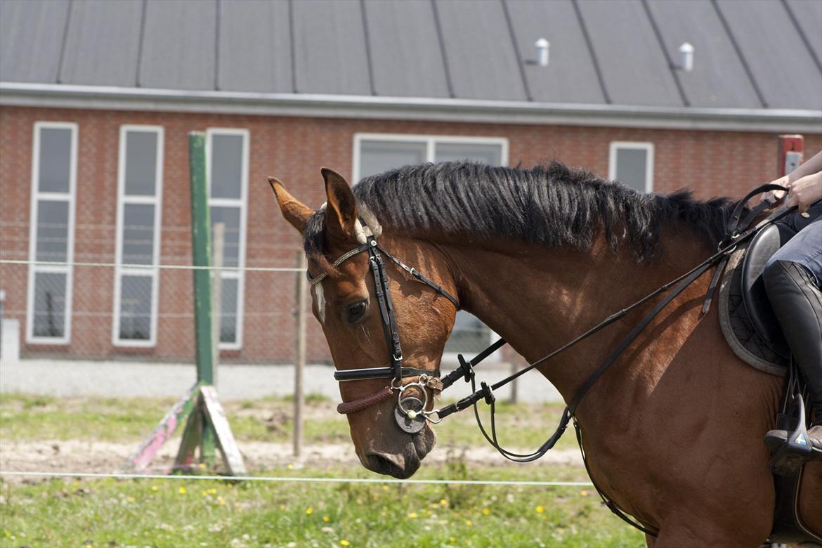 Billeder til min veninde  billede 16