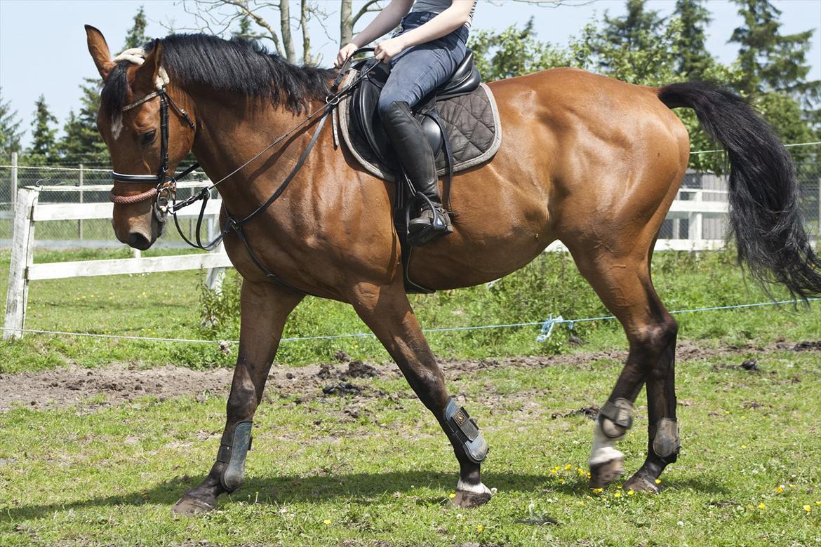 Billeder til min veninde  billede 17