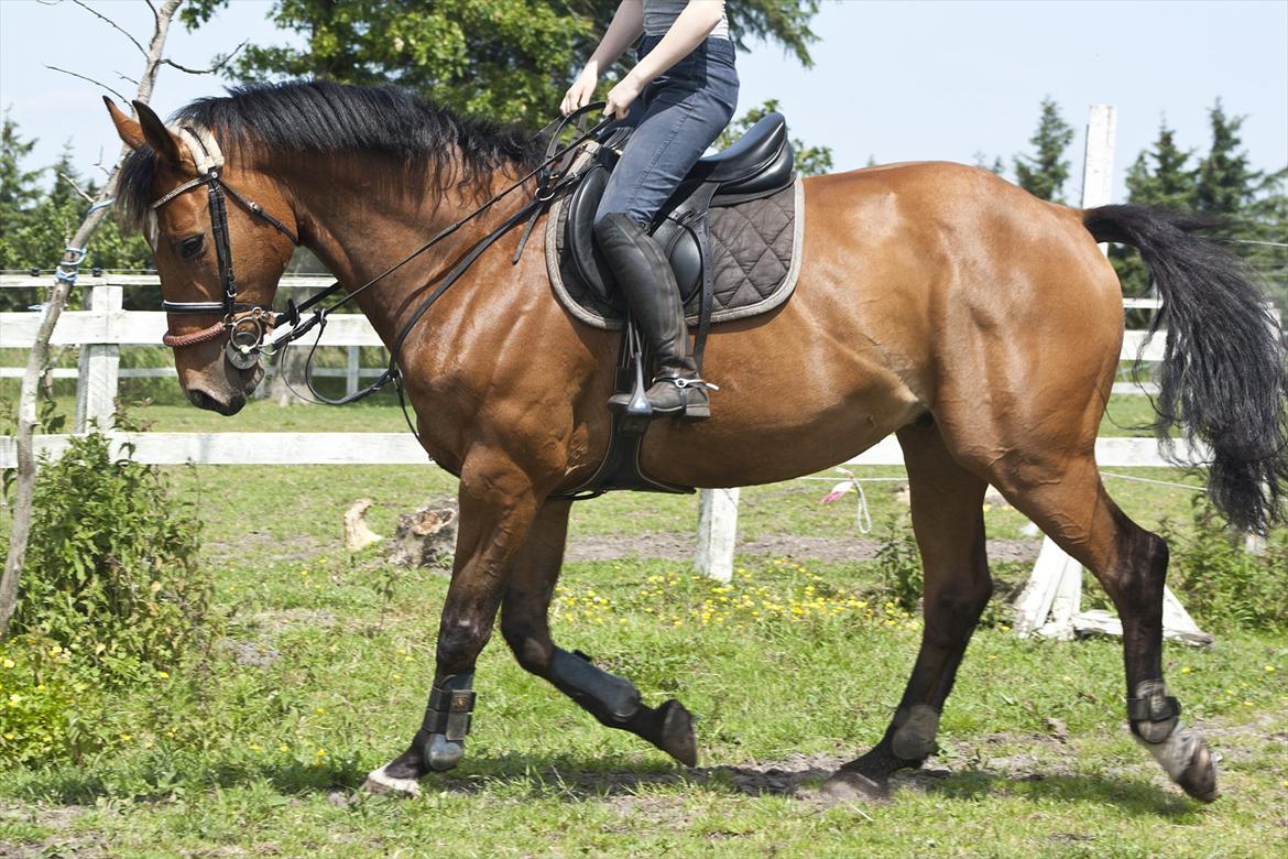 Billeder til min veninde  billede 18