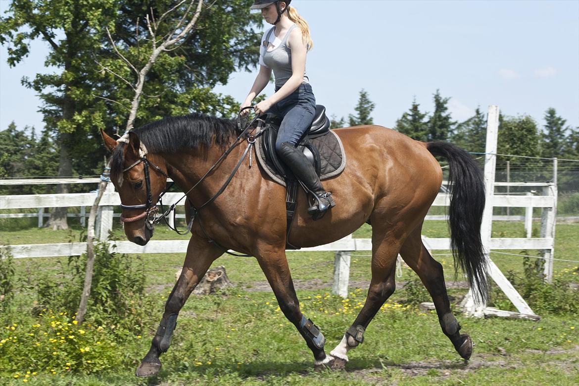 Billeder til min veninde  billede 20