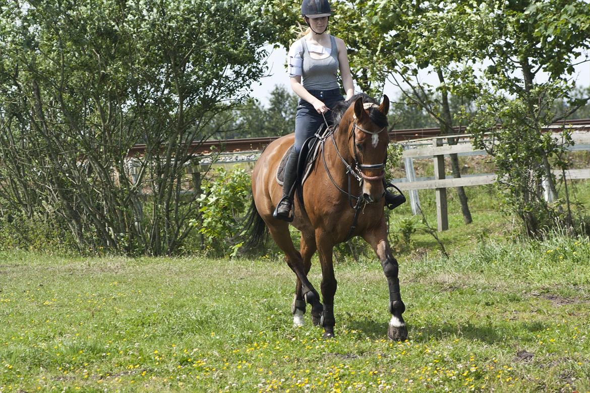 Billeder til min veninde  billede 25