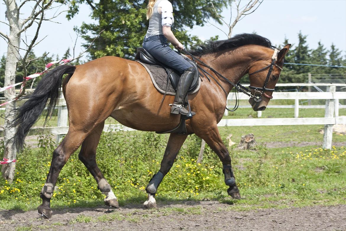Billeder til min veninde  billede 28