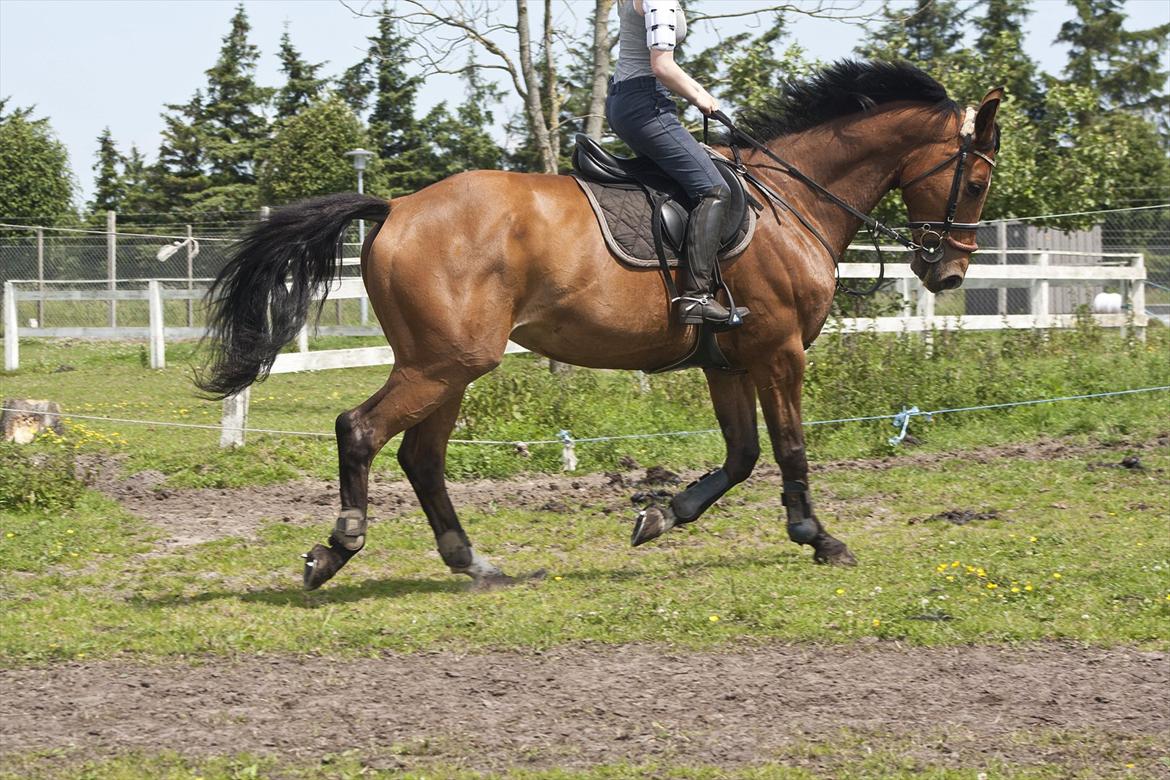 Billeder til min veninde  billede 29