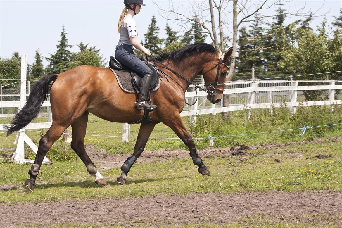Billeder til min veninde  billede 30
