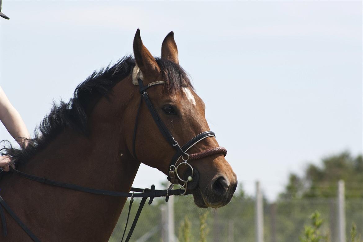 Billeder til min veninde  billede 34