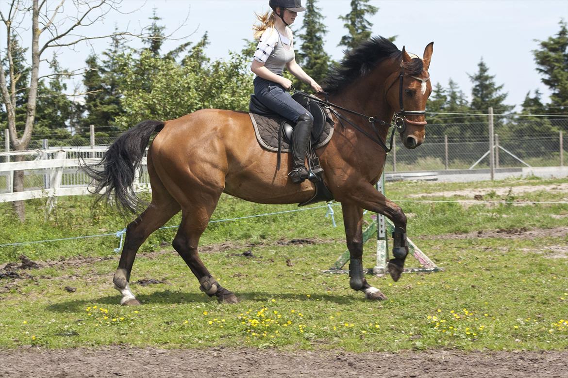 Billeder til min veninde  billede 36