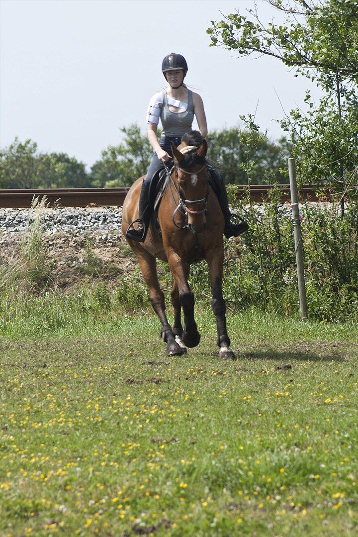 Billeder til min veninde  billede 43