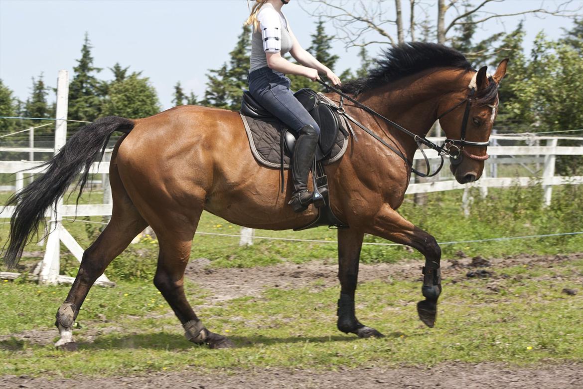 Billeder til min veninde  billede 54