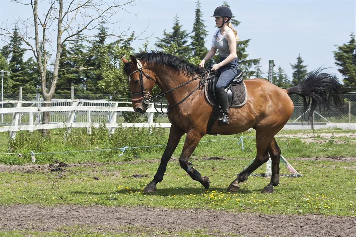 Billeder til min veninde  billede 62