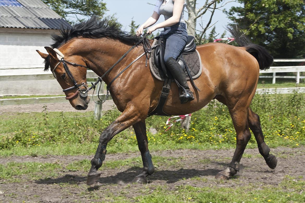 Billeder til min veninde  billede 63