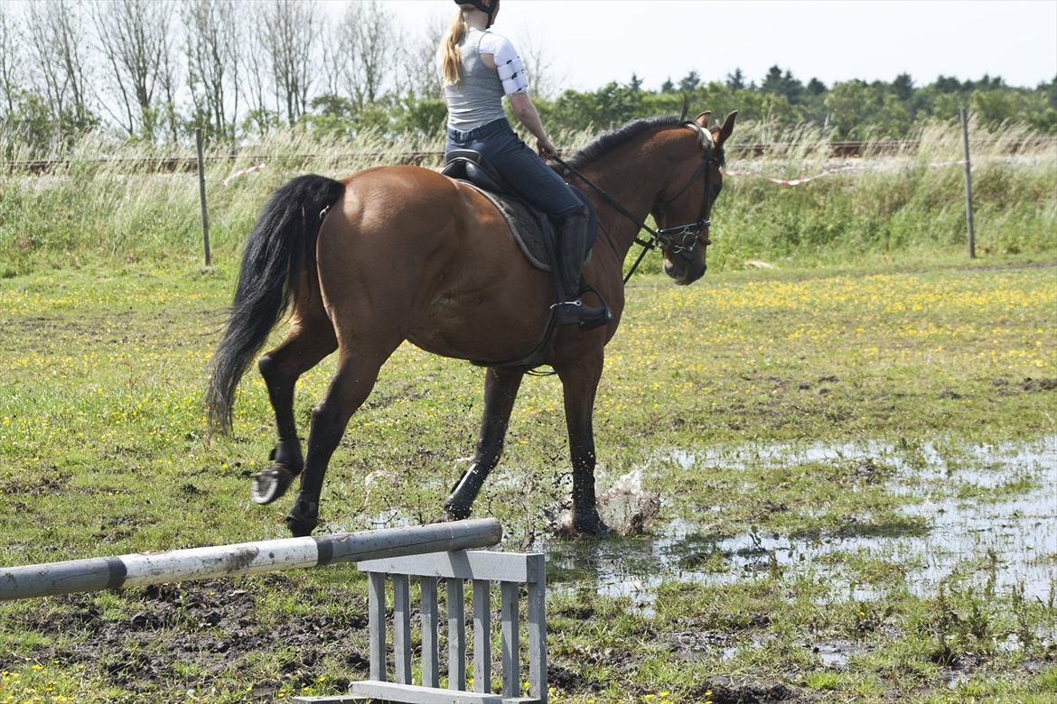 Billeder til min veninde  billede 66