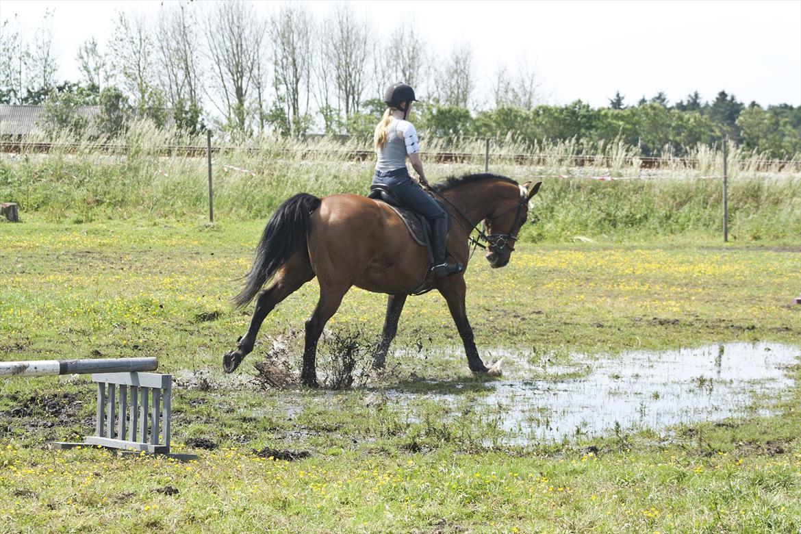 Billeder til min veninde  billede 70