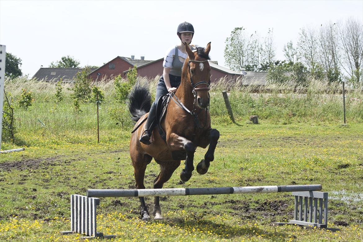 Billeder til min veninde  billede 72