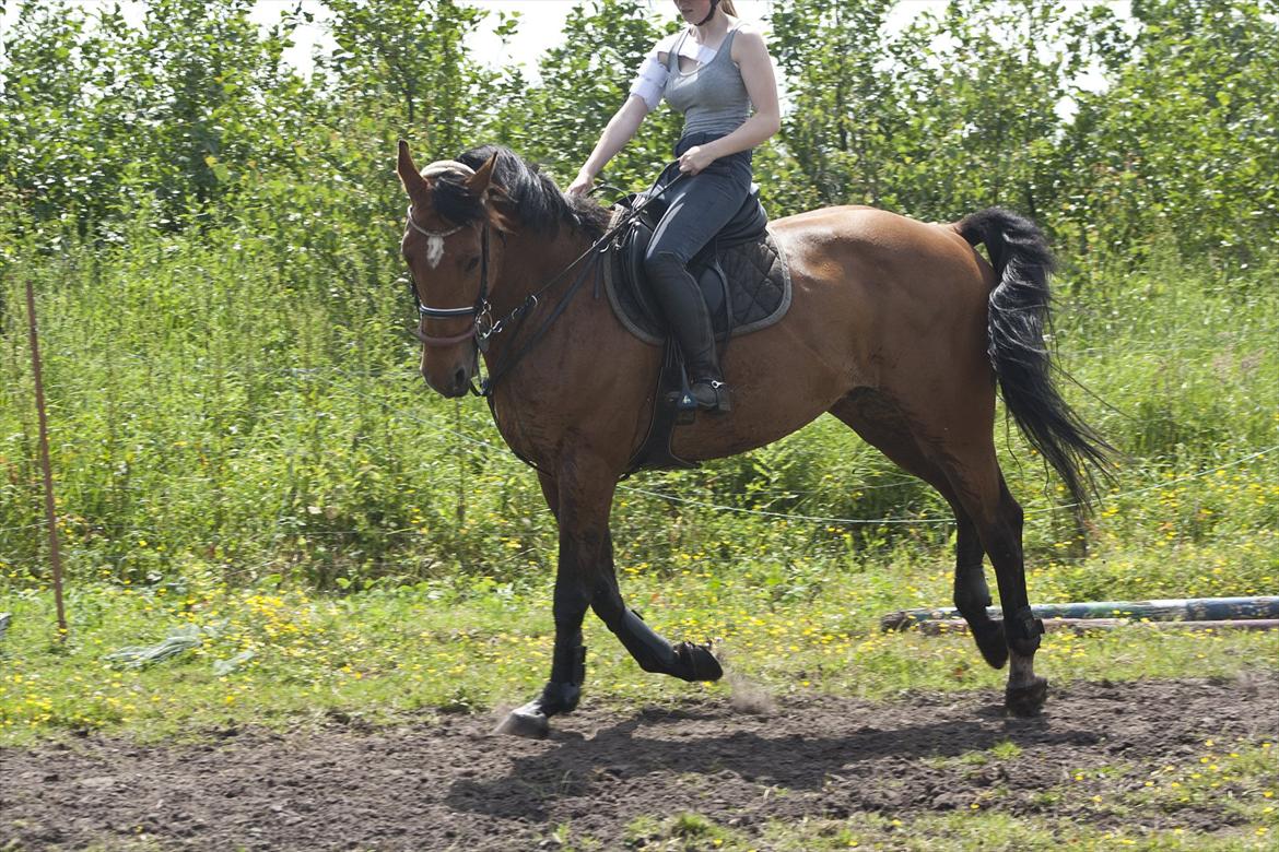 Billeder til min veninde  billede 73