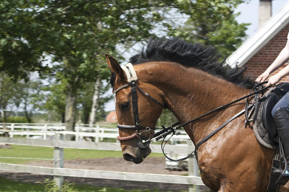 Billeder til min veninde  billede 74