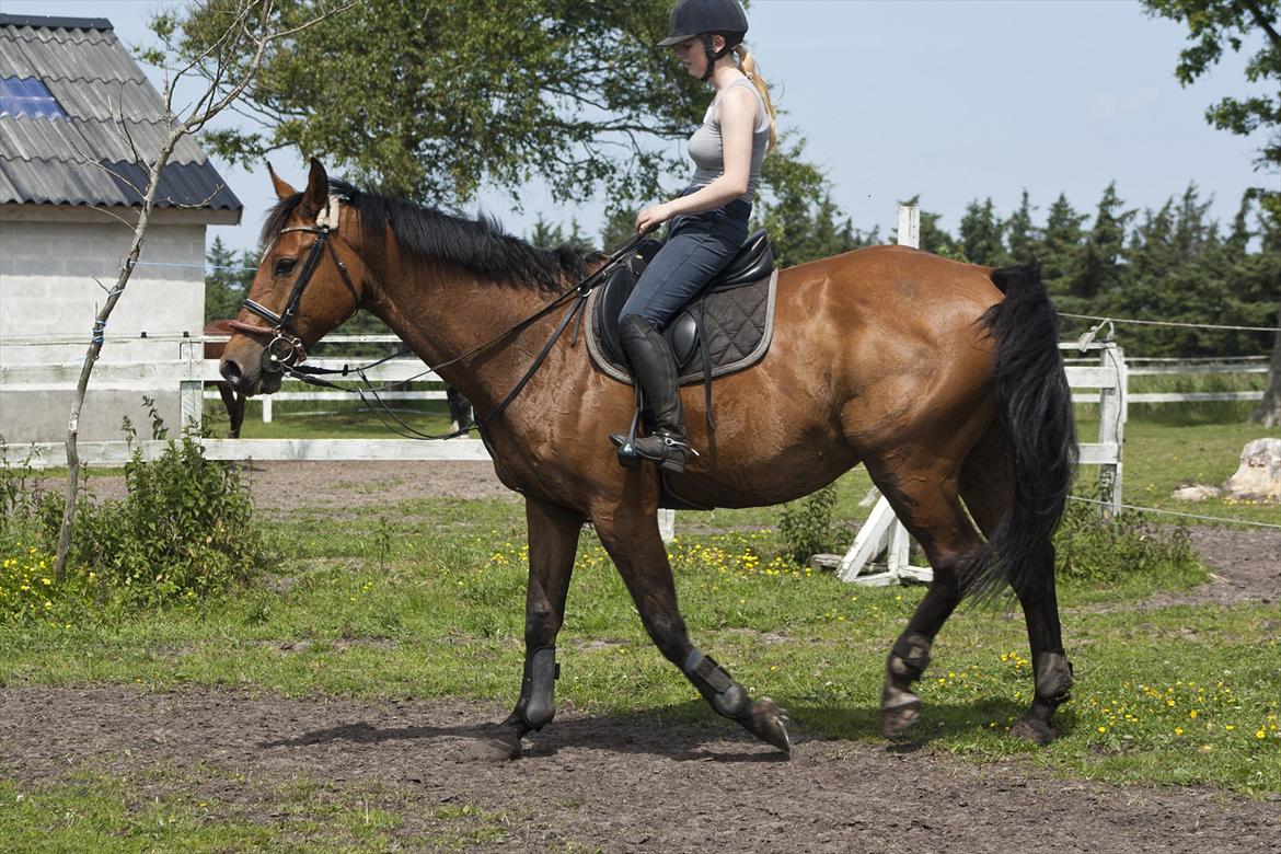 Billeder til min veninde  billede 76