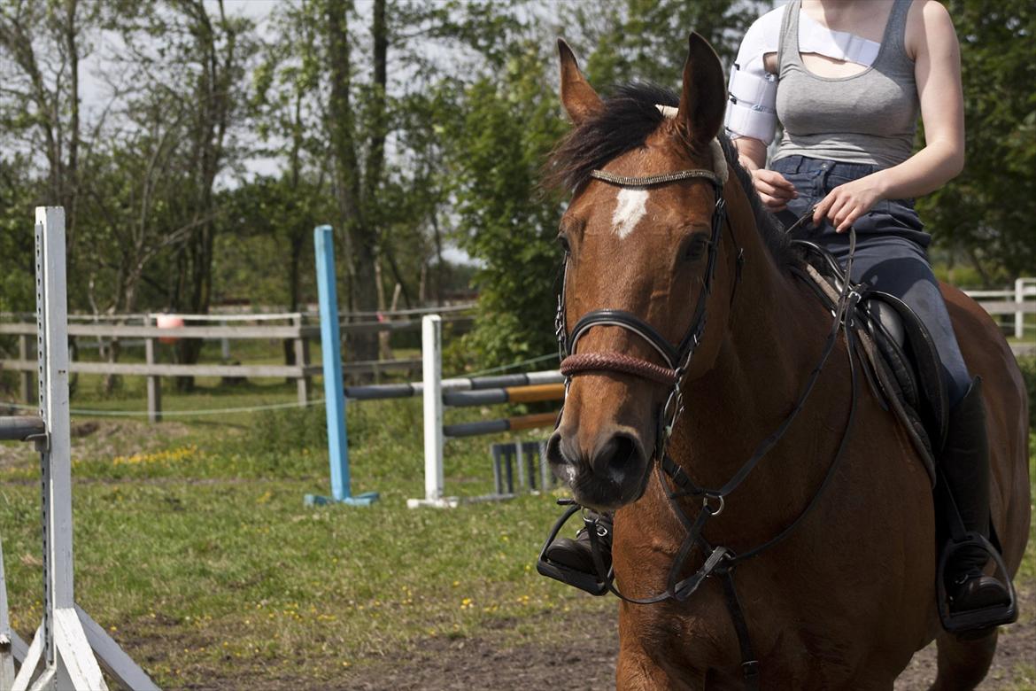 Billeder til min veninde  billede 78