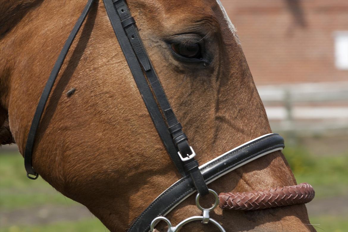 Billeder til min veninde  billede 79