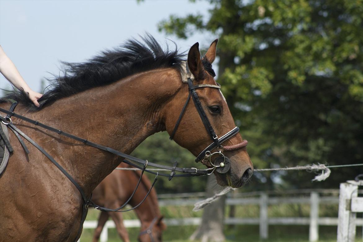 Billeder til min veninde  billede 81