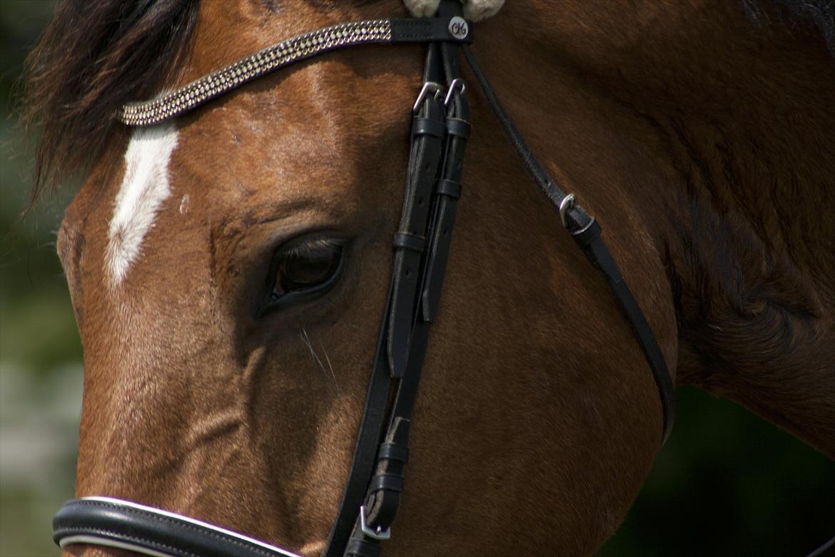 Billeder til min veninde  billede 83