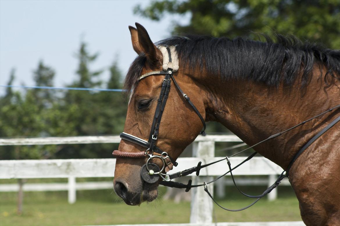 Billeder til min veninde  billede 84