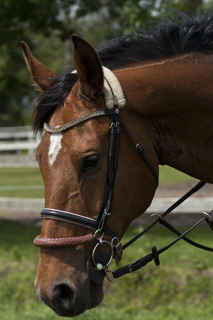 Billeder til min veninde  billede 85