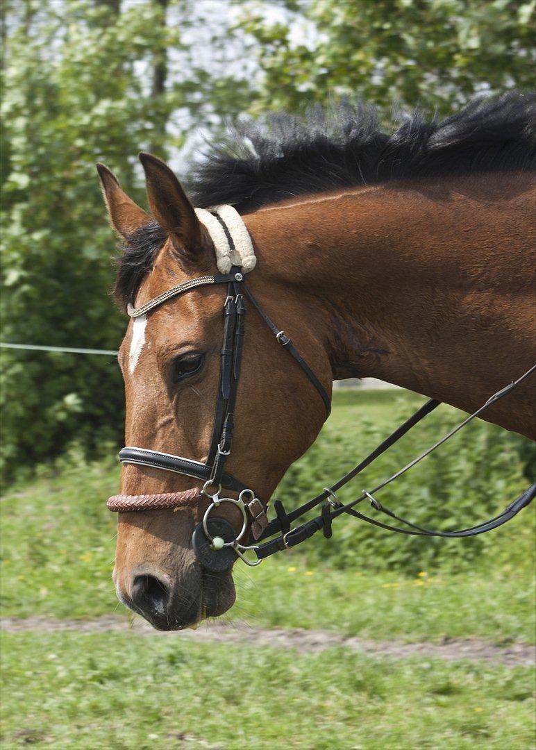 Billeder til min veninde  billede 86