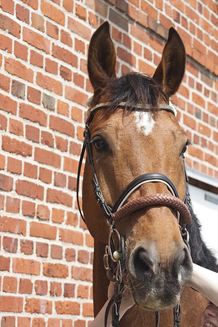 Billeder til min veninde  billede 87