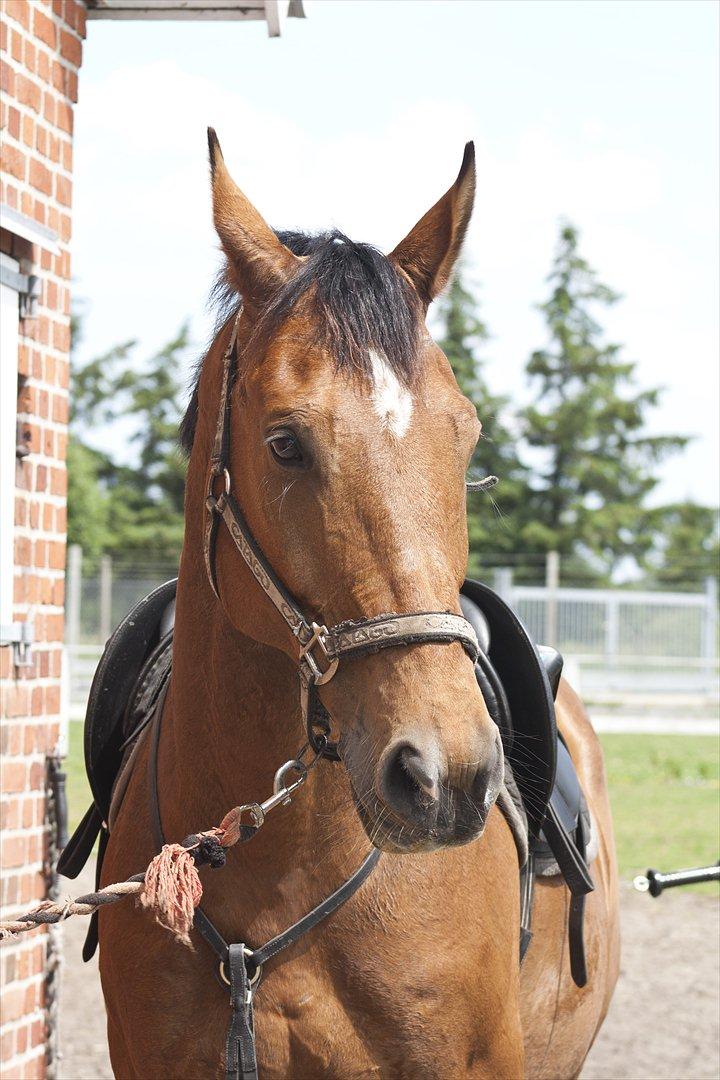 Billeder til min veninde  billede 88