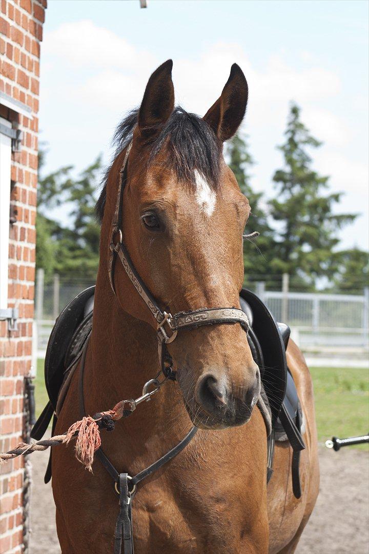 Billeder til min veninde  billede 89