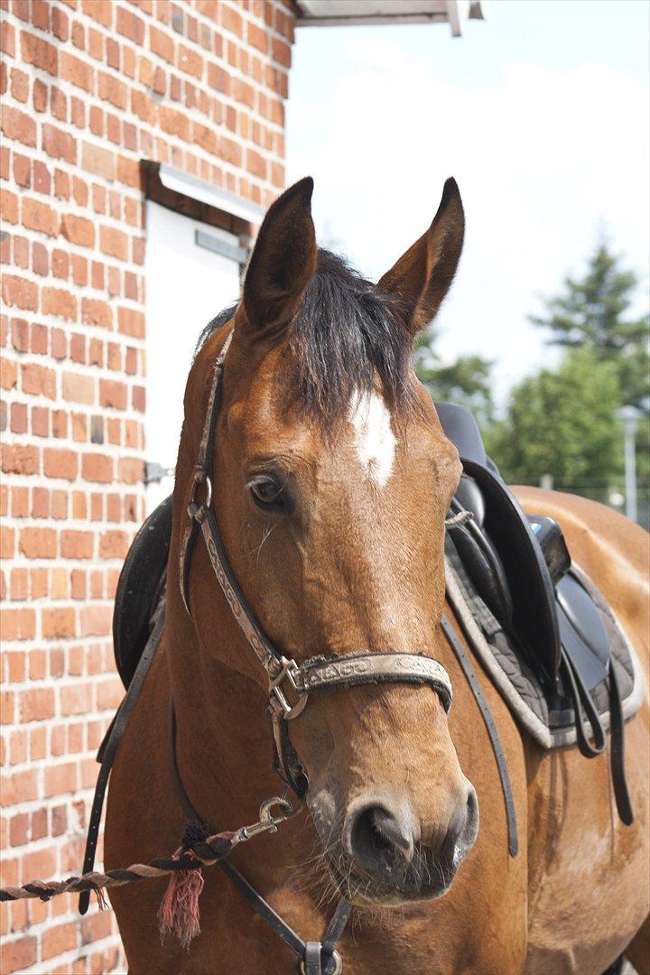 Billeder til min veninde  billede 90